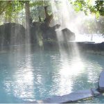 ラジウム温泉の効能が自宅で「玉川の花湯」天然ラジウム玉川温泉