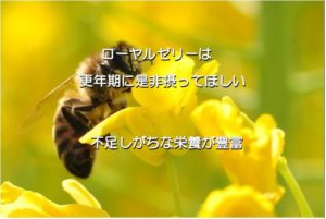 更年期症状