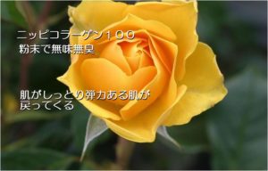 コラーゲンペプチド