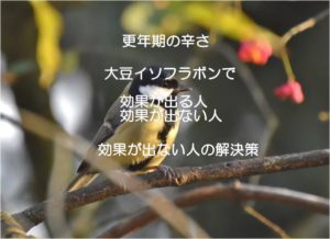 更年期症状