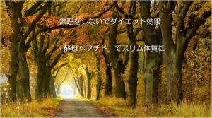 ダンダンスラリ