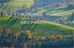 ダイエット