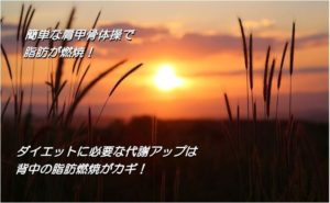 肩甲骨を動かして代謝アップ
