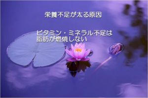 ビタミン・ミネラル不足