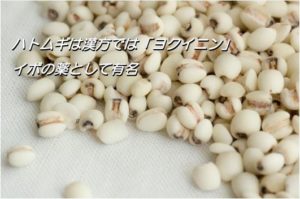首のイボにヨクイニン