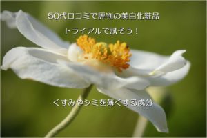 トライアル