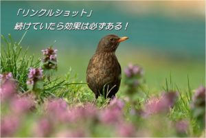 ほうれい線対策